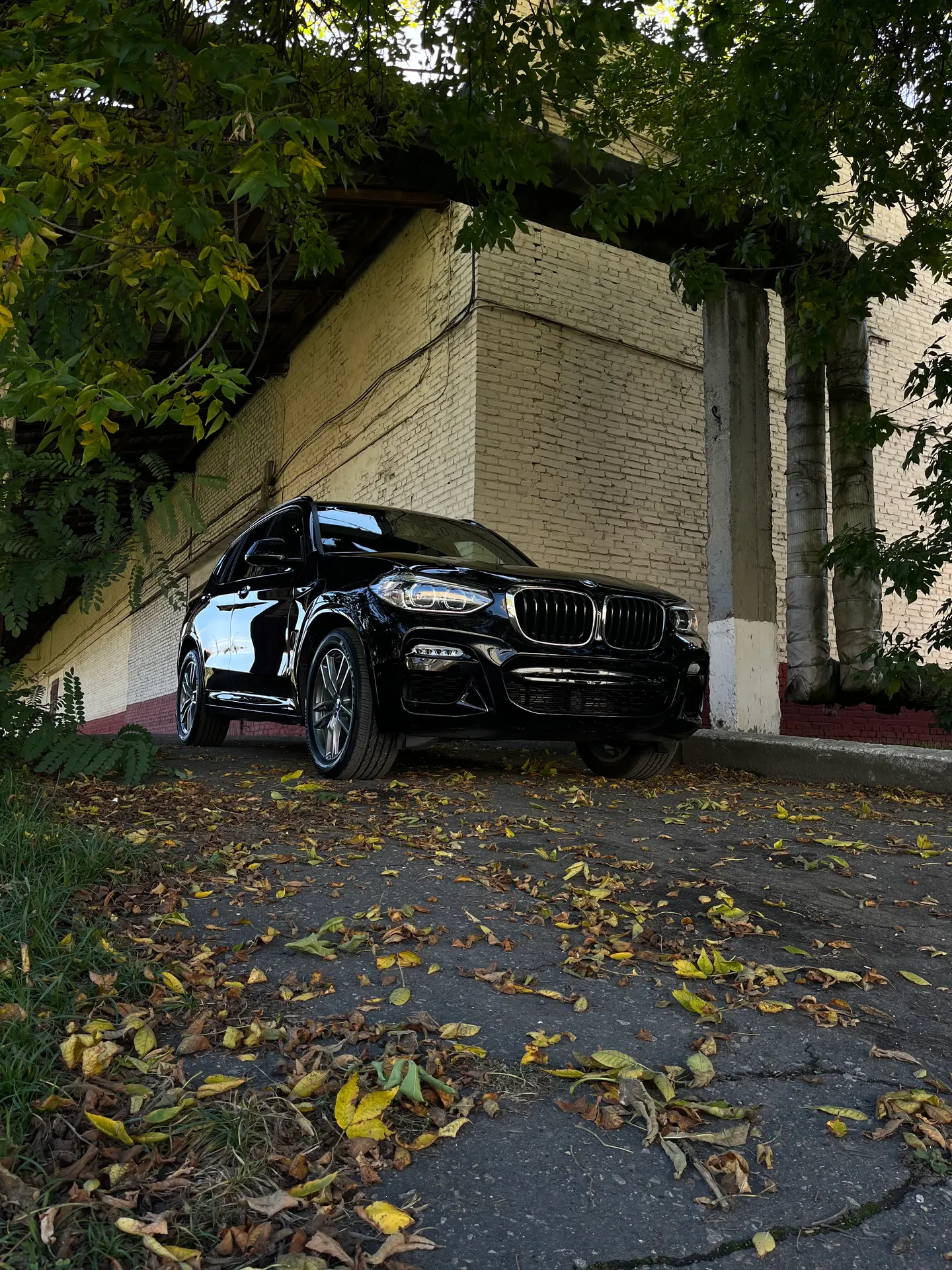 BMW X3 - Полировка, нанесение керамики - фото 1