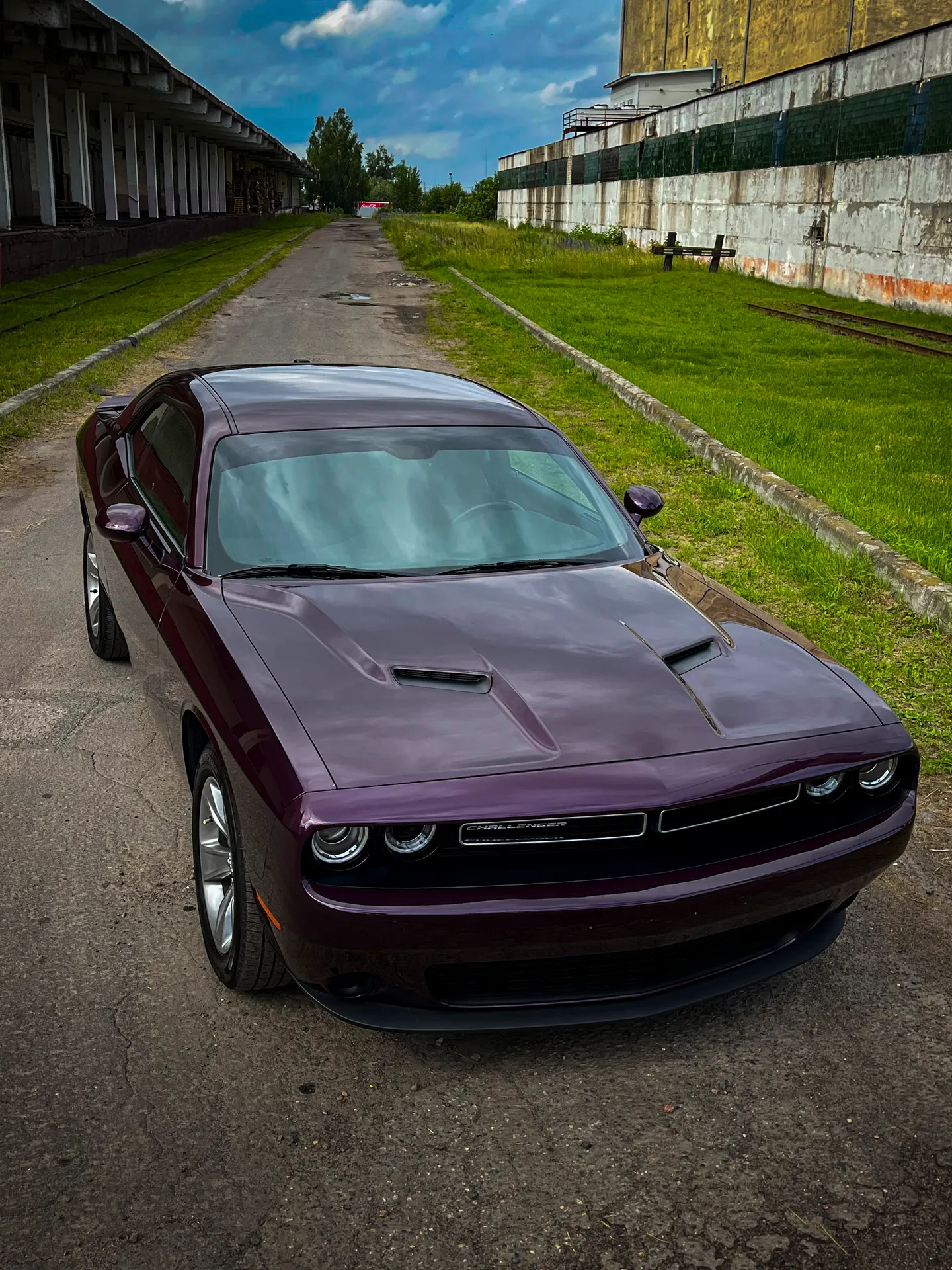 Dodge Challenger - Комплекс: полировка, нанесение керамики, химчистка - фото 1